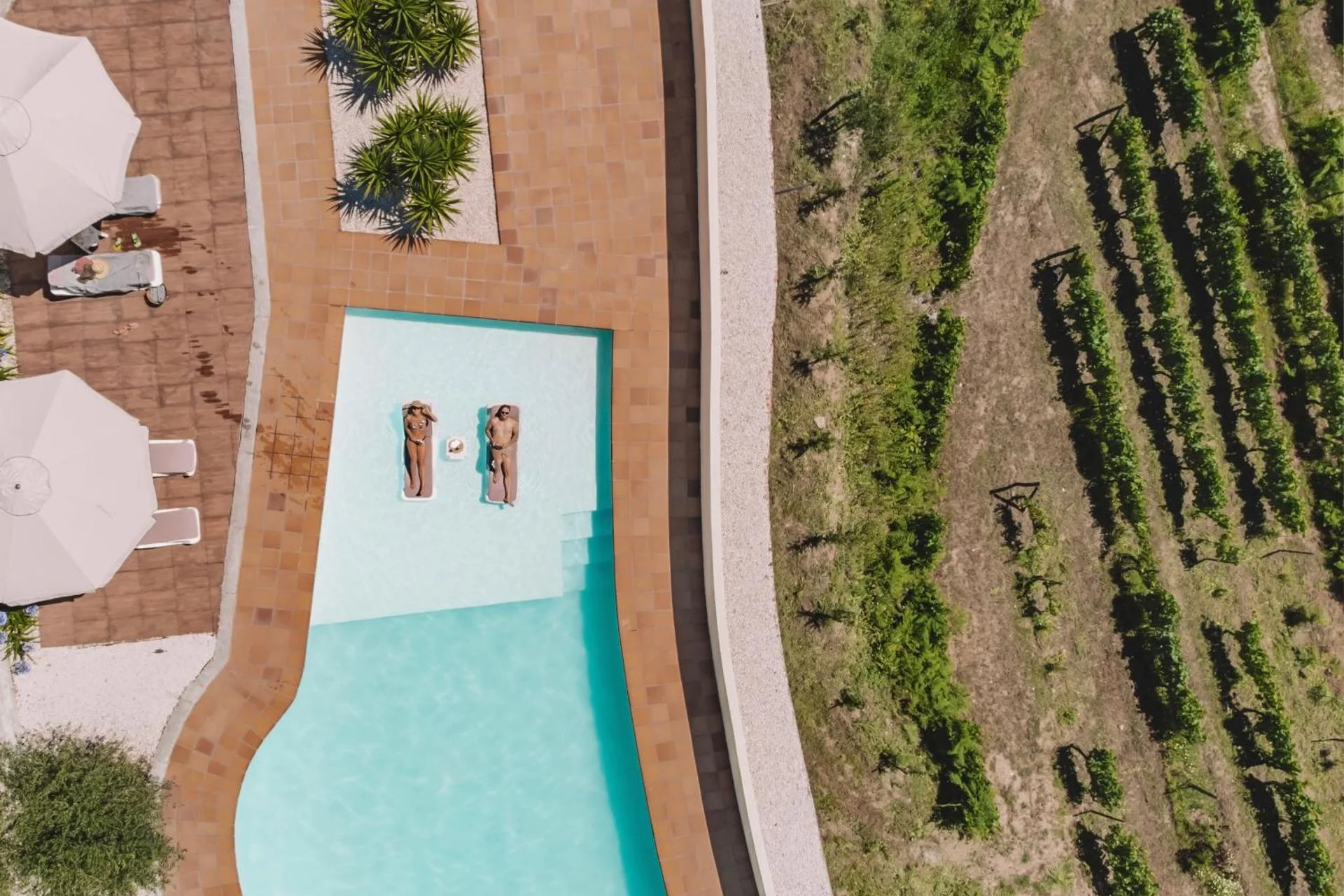 Private Douro- Quinta das Susandas